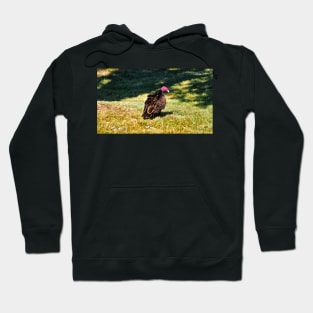 Turkey Vulture Staring Hoodie